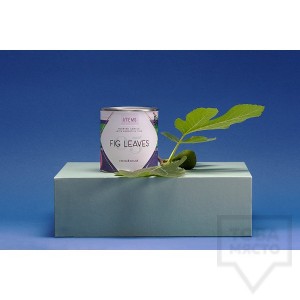 Луксозна ароматна свещ I/TEMS - Fig Leaves